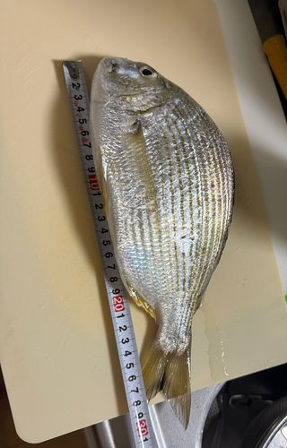 西ノ浜