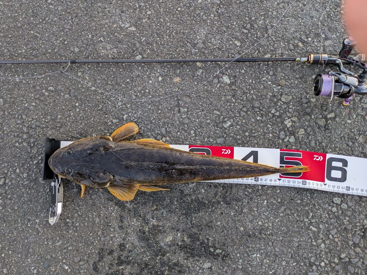 XESTAアサルトジェットタイプS 75MMH アグレッシブフッキングアタッカー f-marunishi3_4573439060595