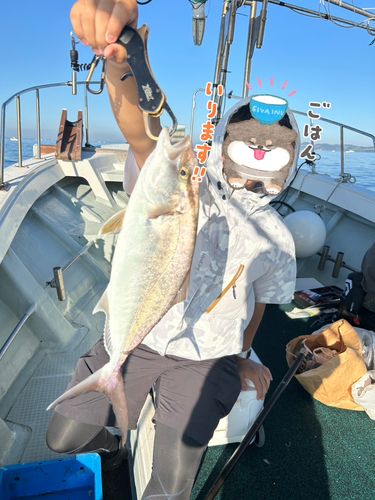 ネリゴの釣果
