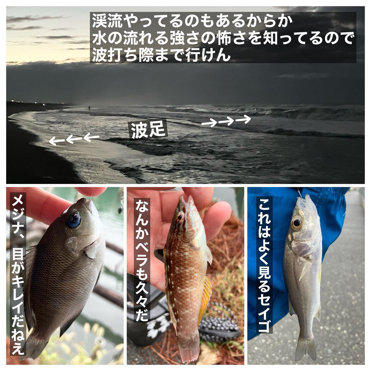 キビレ