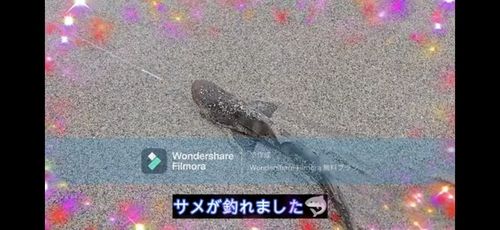 日立沖