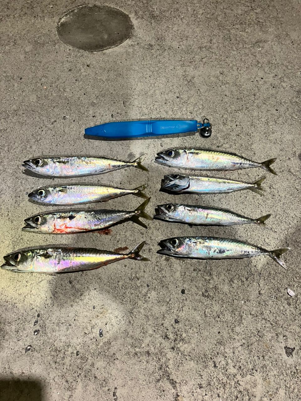 SHIMANO 18ディアルーナ S96MLの最安値・インプレ・釣果 | 本音