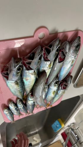 秋田県北部