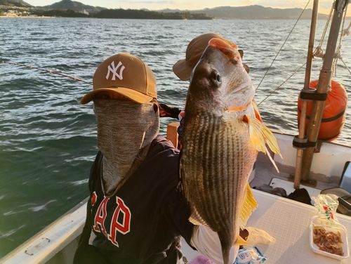 キビレの釣果