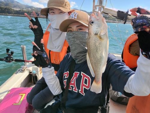 イシモチの釣果