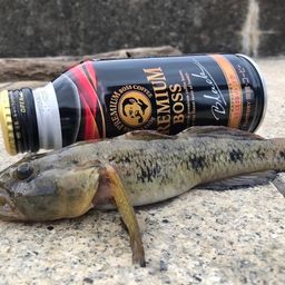 ウロハゼ