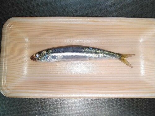 茅ヶ崎ヘッドランド