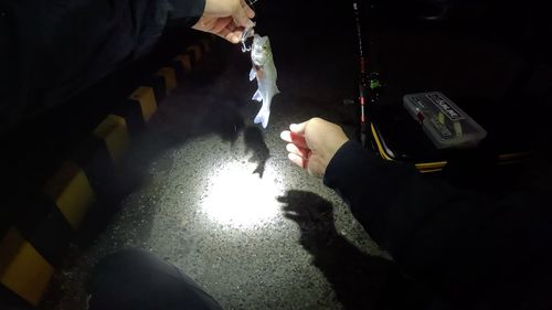 三河湾
