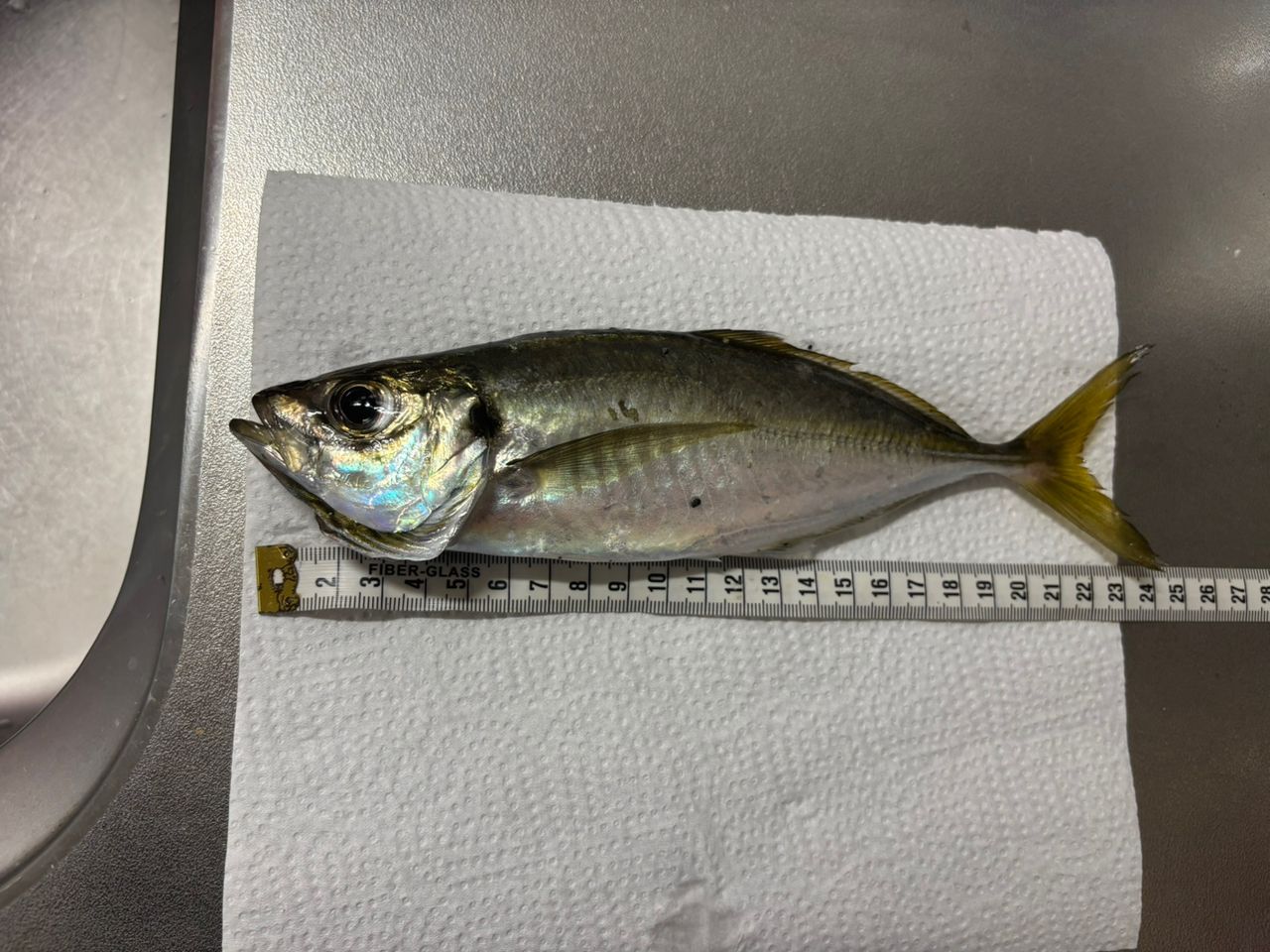 アブガルシア ソルティーステージ プロトタイプ XAJS-5102LSS アジングロッド アブガルシア ソルティーステージ プロトタイプ