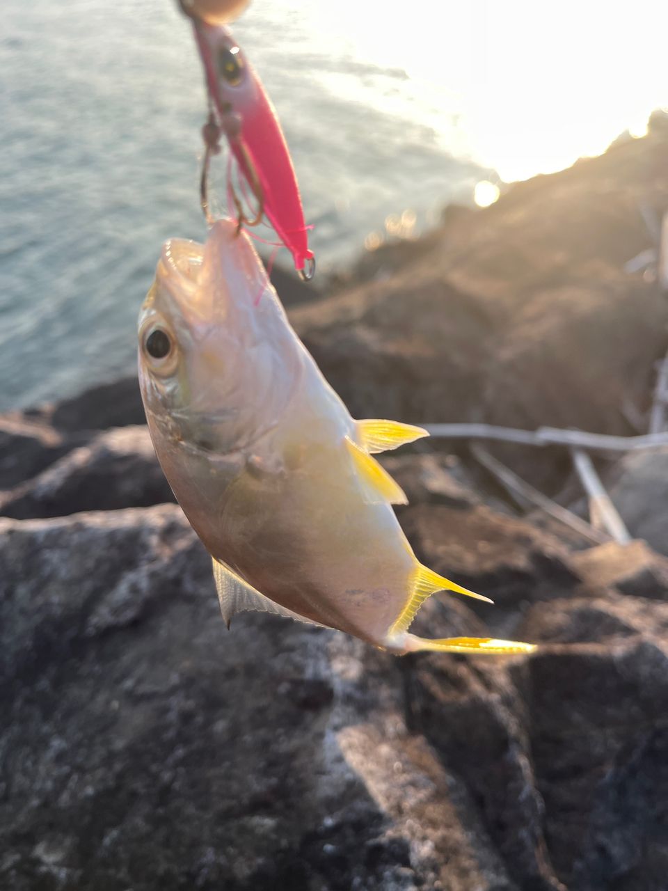 メッキ