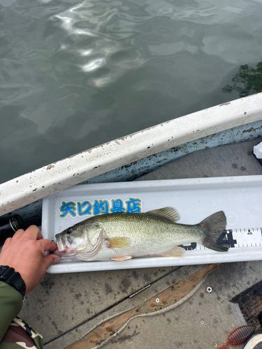 津久井湖