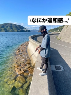 コウイカの釣果