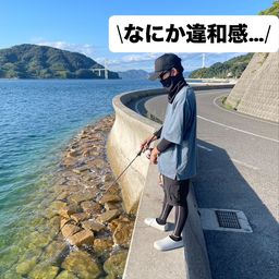 コウイカ