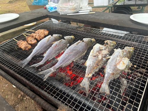 勝浦湾