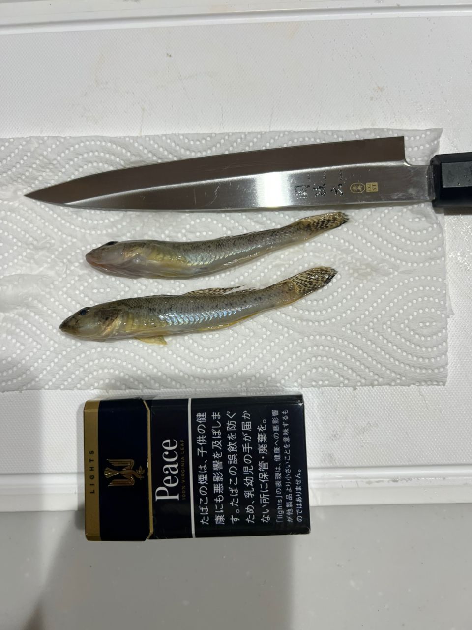 ハゼ