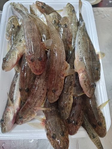 釣川