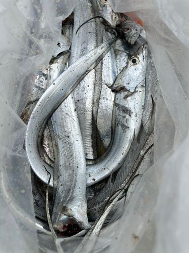 大阪湾