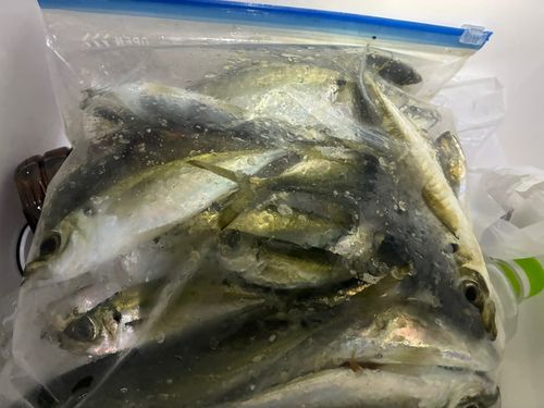 内灘海岸