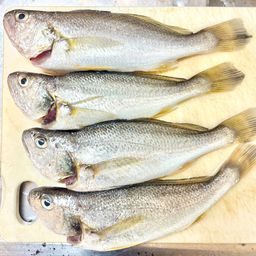 イシモチ