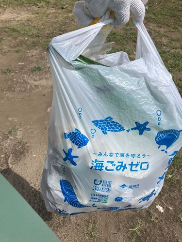 クサフグの釣果