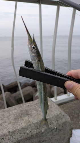 高洲海浜公園