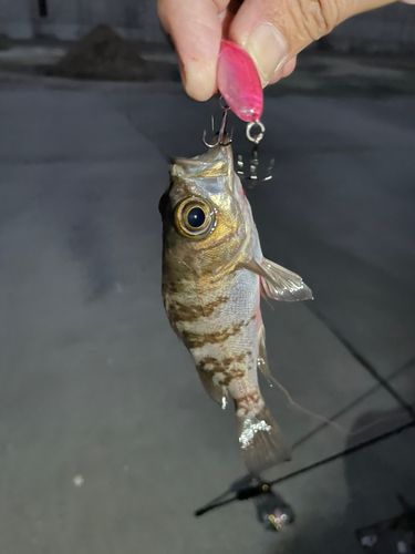 大船渡湾