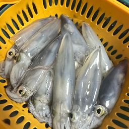 マメイカ