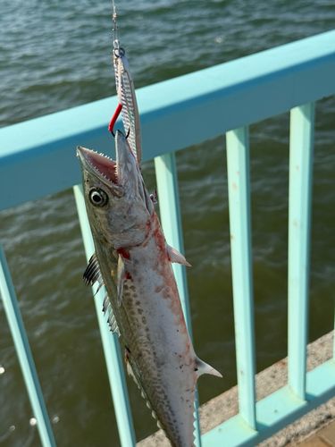 福間漁港海浜公園