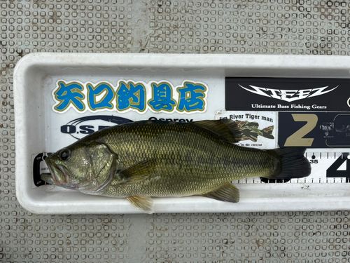 鬼怒川