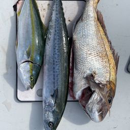 タイ