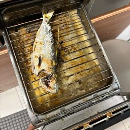 コノシロ