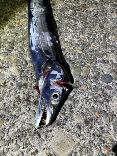 田ノ浦漁港