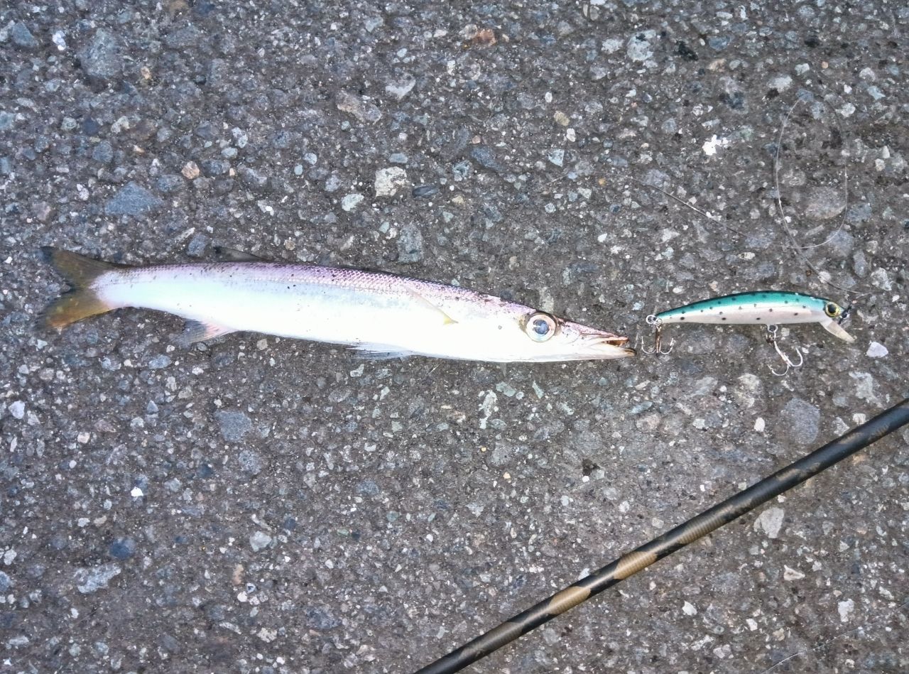 アブガルシア ソルティースタイル メバル STMS-762ULT-KR Salty Style MEBARU（ソルティースタイルメバル）｜AbuGarcia