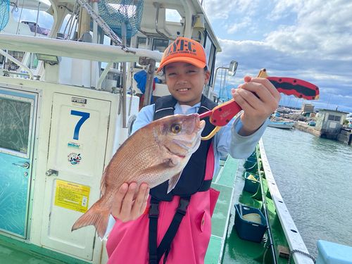 マダイの釣果