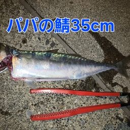 ゴマサバ