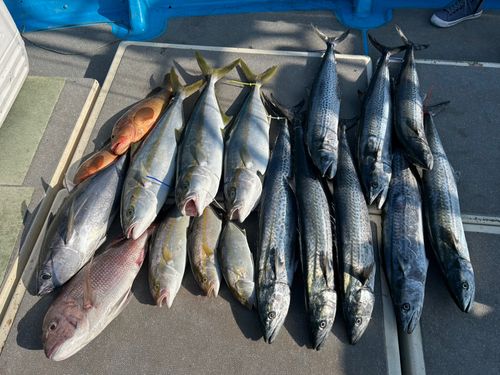 玄界灘