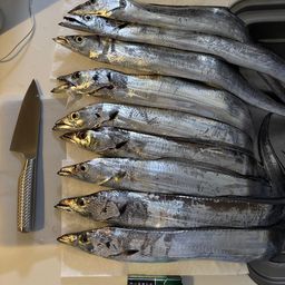 タチウオ