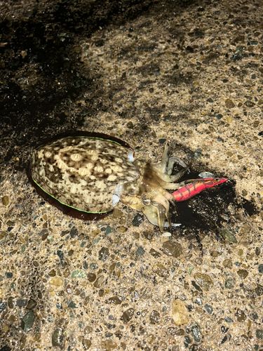 走水