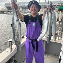 サワラ