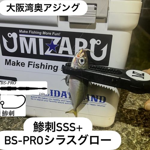 マアジの釣果
