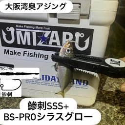 マアジ