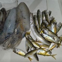 アジ