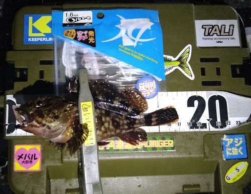 霞釣り公園