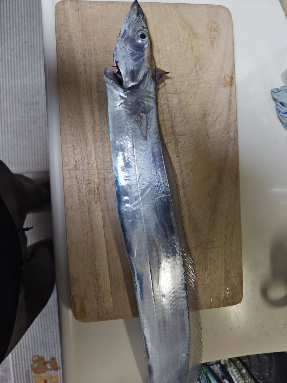 貴斗(タカト)さんの釣果 2枚目の画像