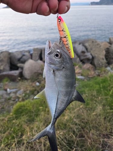 長崎湾