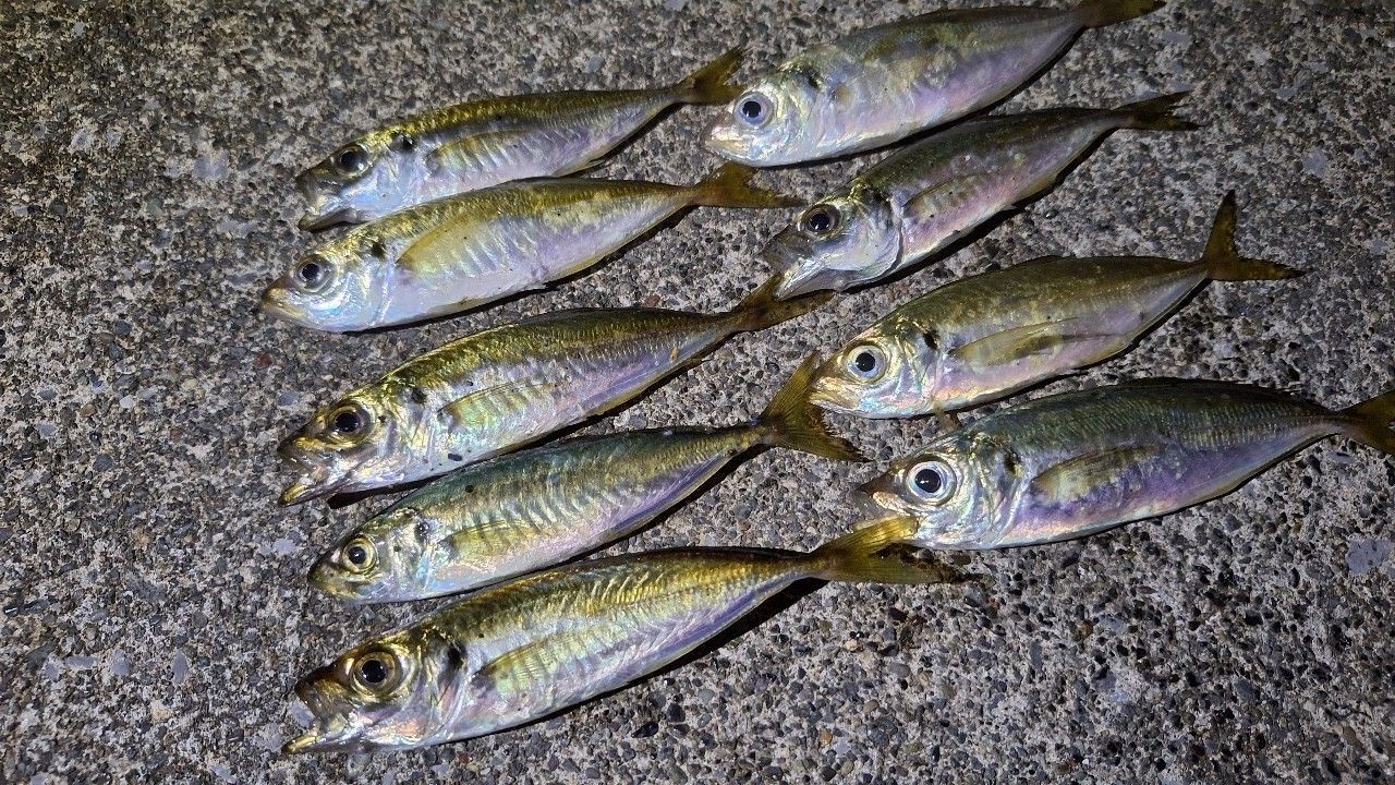 天龍　ルナキア　LK632S-LMLS TENRYU ルナキア LK632S-LMLSの最安値・インプレ・釣果 | 本音の