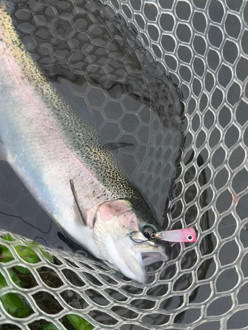 APIA グランデージ ライト 64の最安値・インプレ・釣果 | 本音の口コミ