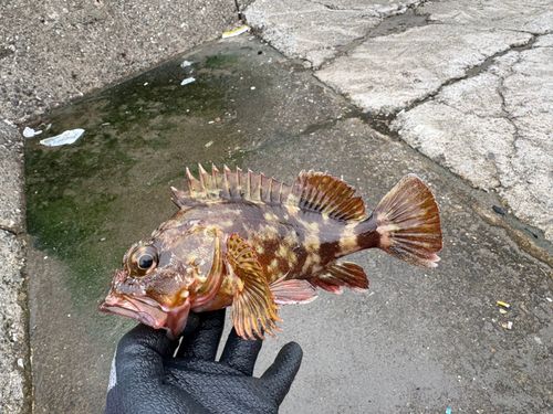浦本漁港