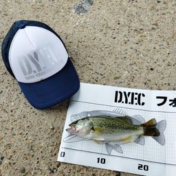 ブラックバス