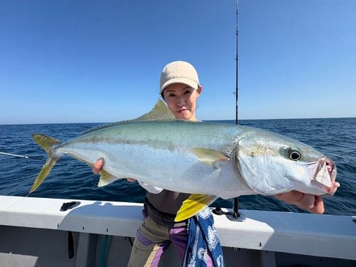 ヒラマサの釣果